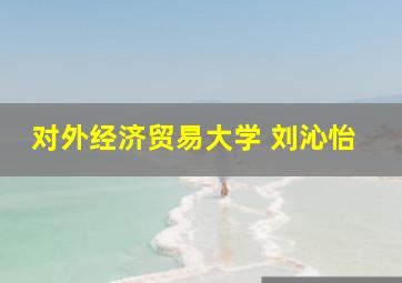 对外经济贸易大学 刘沁怡